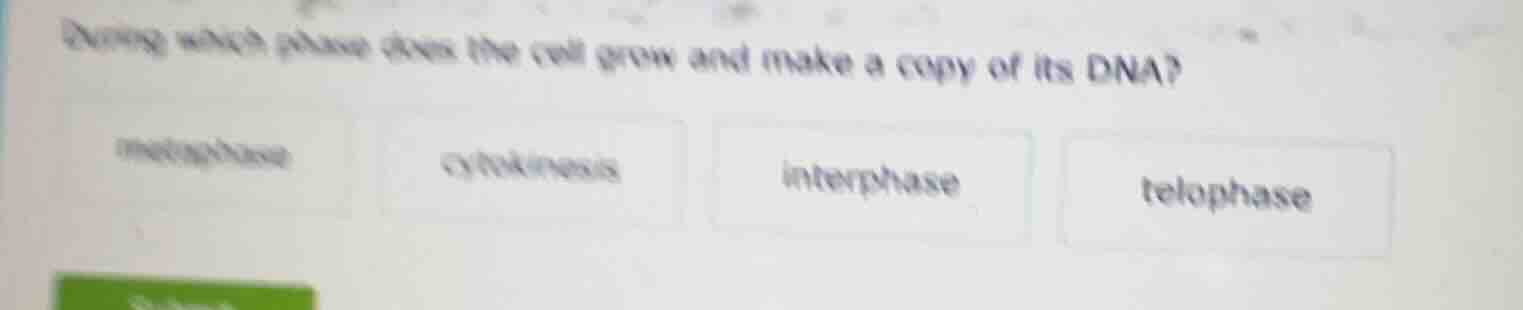 during which phase does the cell grow and make a copy of its dna?metaph…