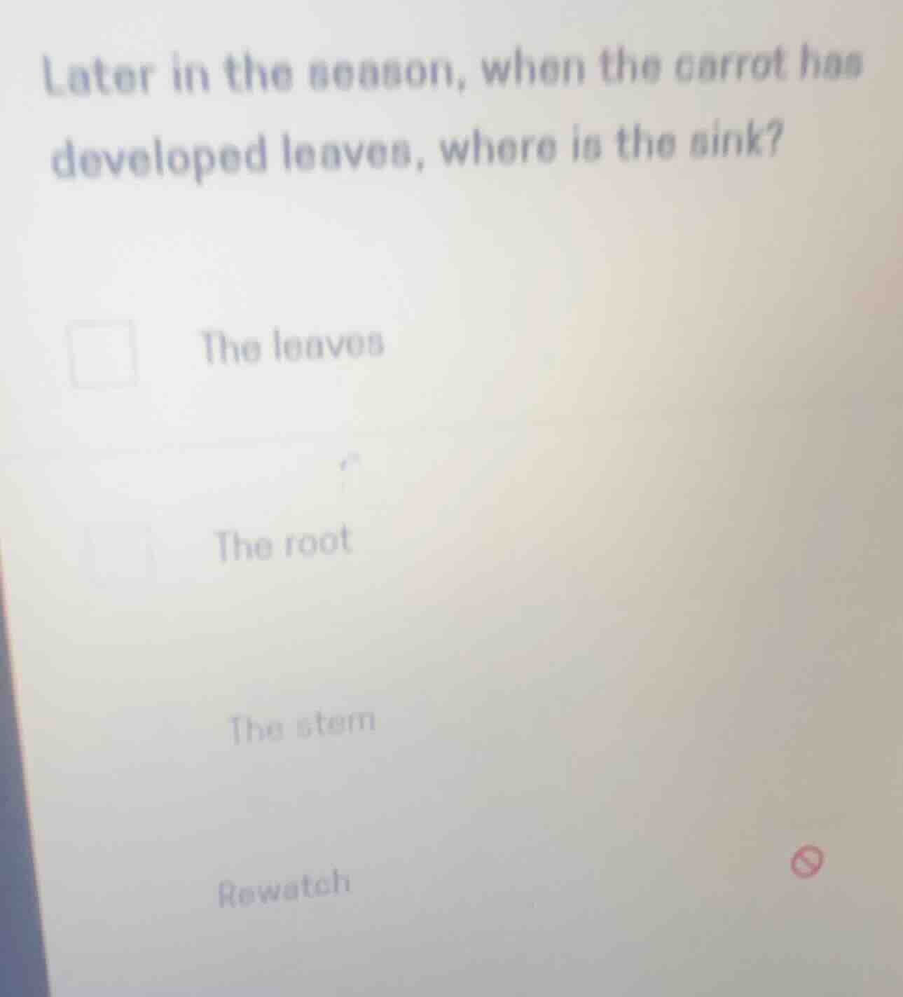 later in the season, when the carrot has developed leaves, where is the…