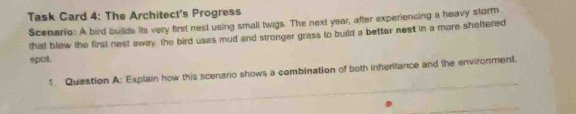 task card 4: the architects progress scenario: a bird builds its very f…