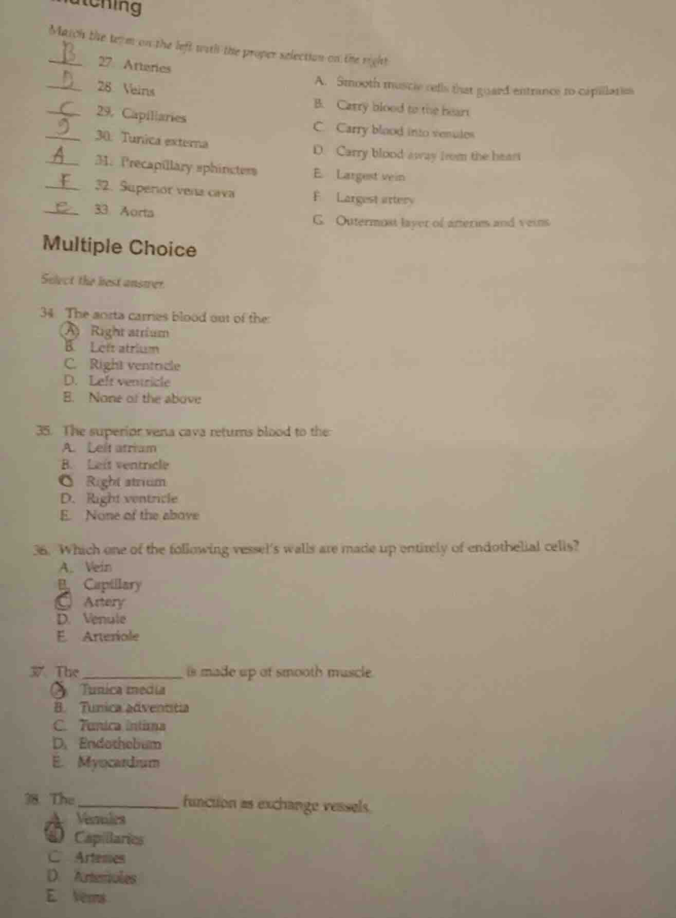 matching match the term on the left with the proper selection on the ri…