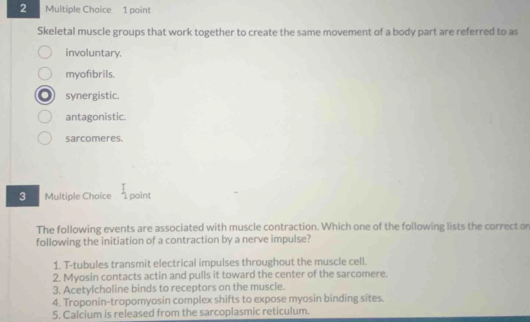 2 multiple choice 1 point skeletal muscle groups that work together to …