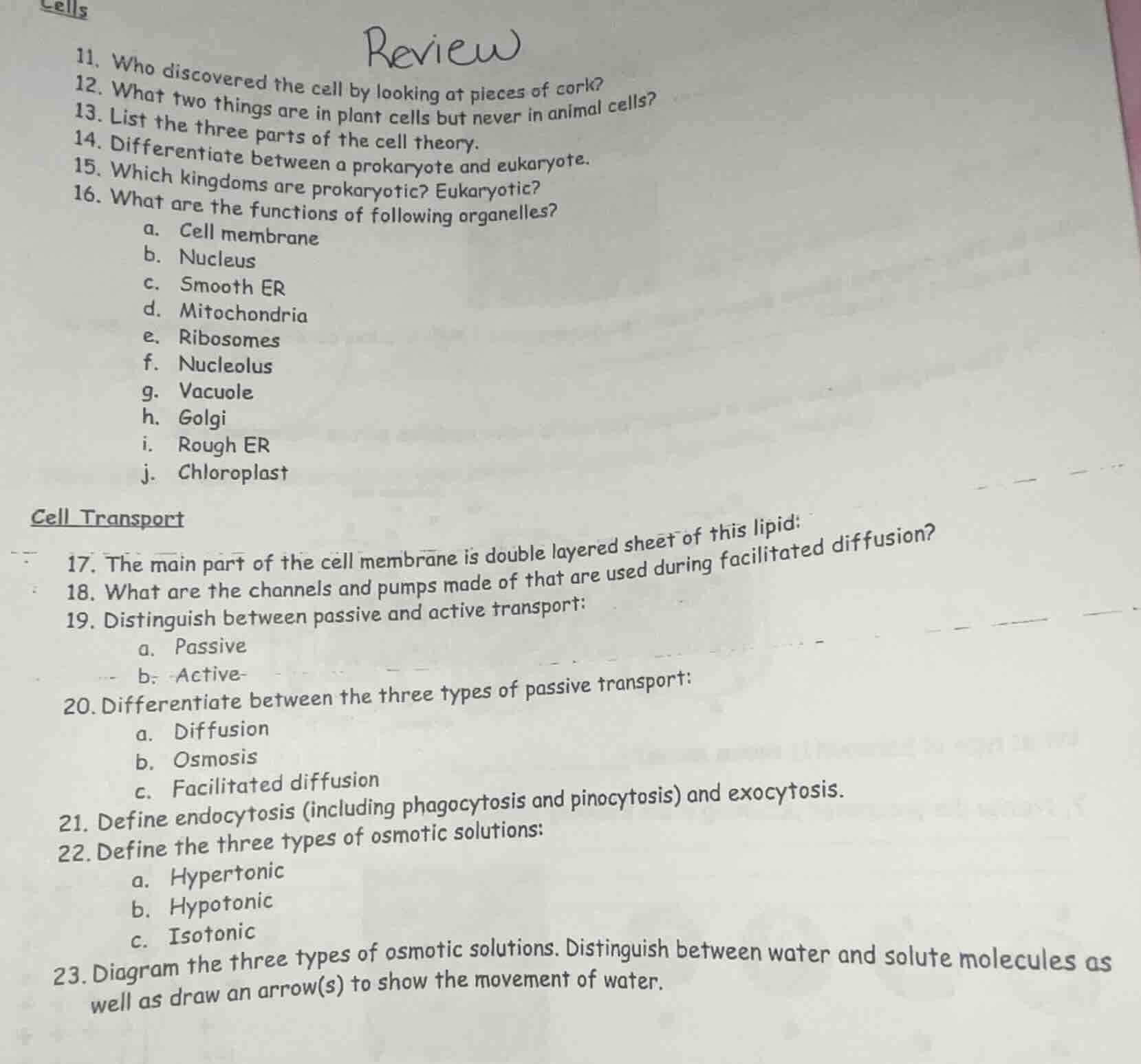 cells review 11. who discovered the cell by looking at pieces of cork? …