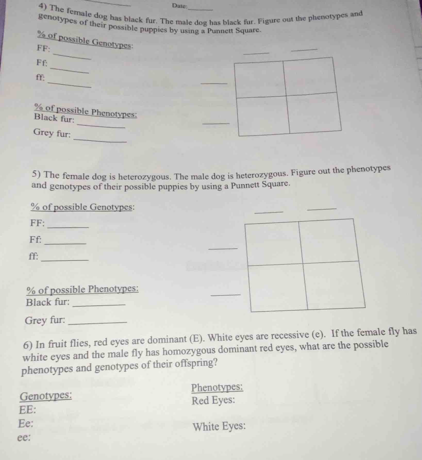 date:4) the female dog has black fur. the male dog has black fur. figur…