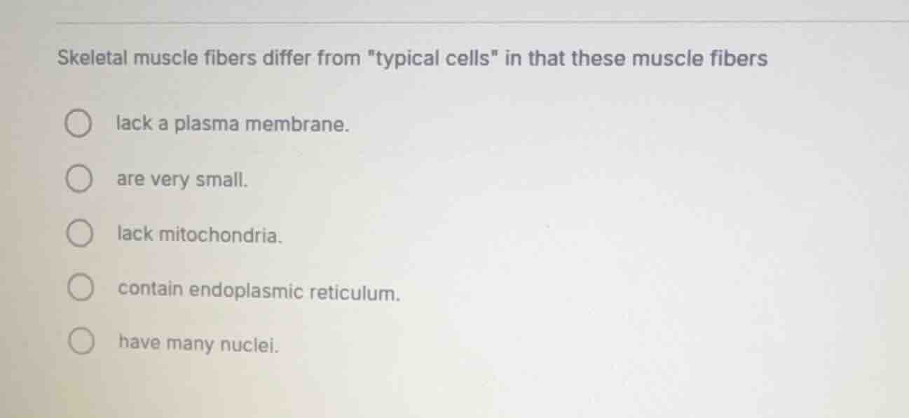 skeletal muscle fibers differ from \typical cells\ in that these muscle…