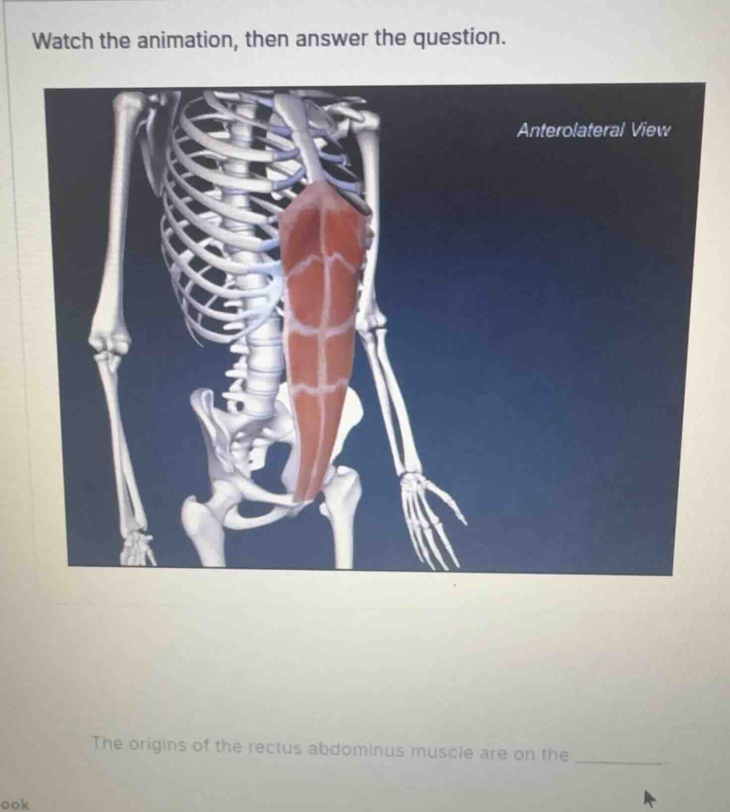 watch the animation, then answer the question. anterolateral view the o…
