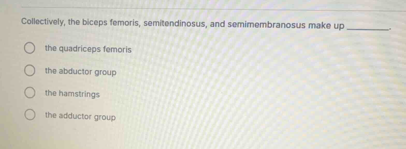 collectively, the biceps femoris, semitendinosus, and semimembranosus m…