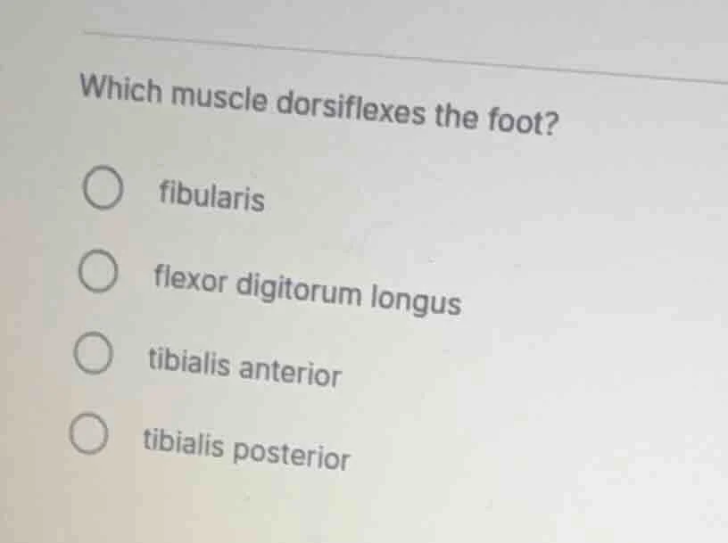 which muscle dorsiflexes the foot?○ fibularis○ flexor digitorum longus○…