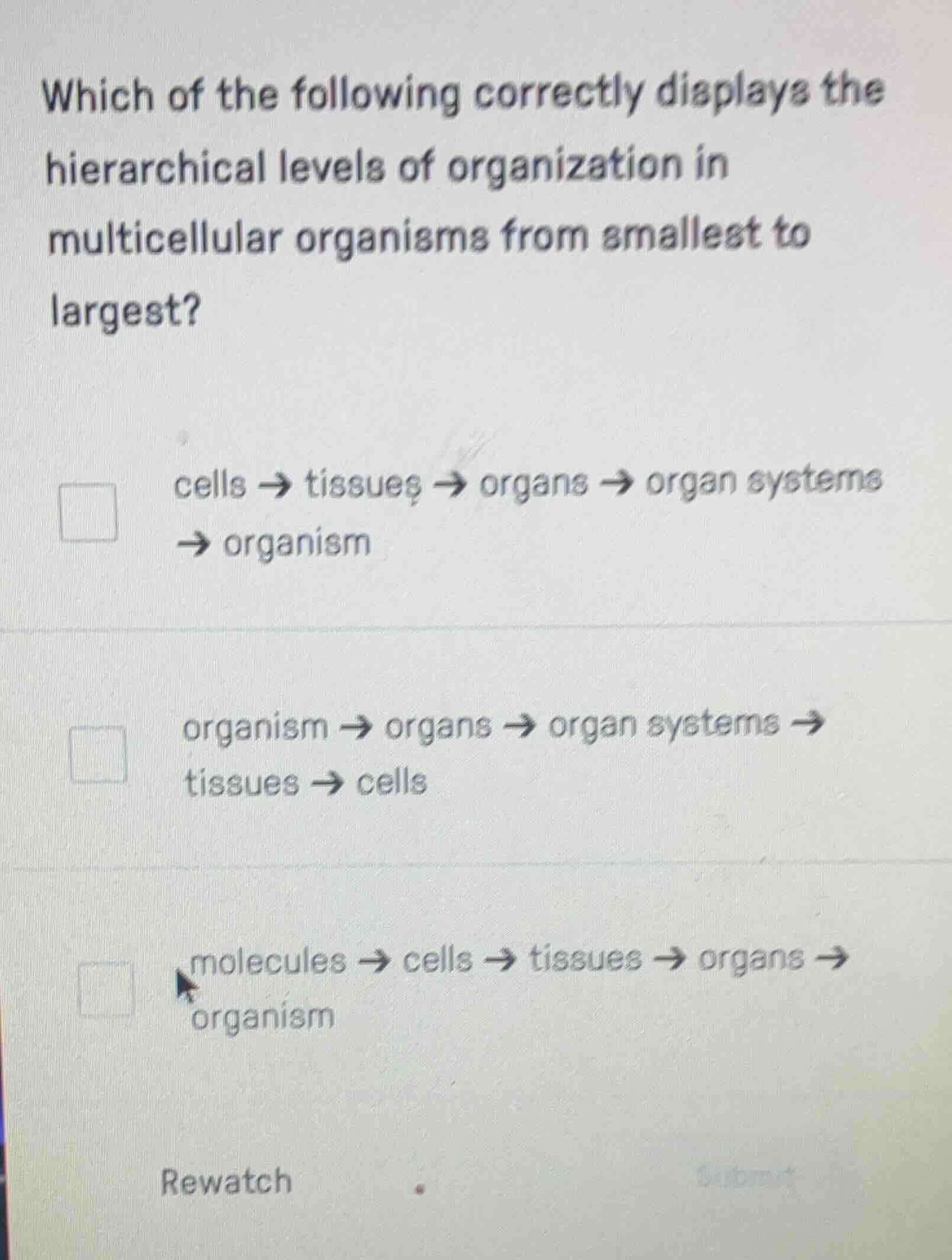 which of the following correctly displays the hierarchical levels of or…