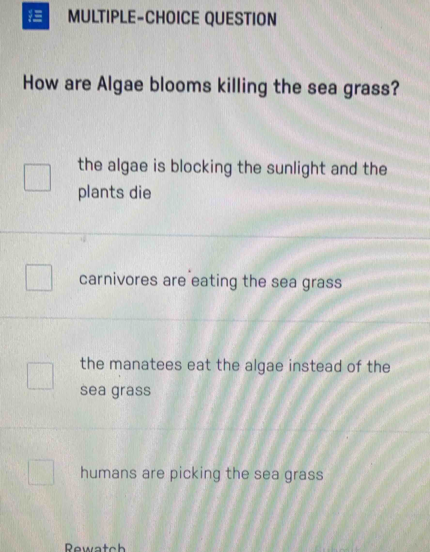 multiple-choice question how are algae blooms killing the sea grass? th…
