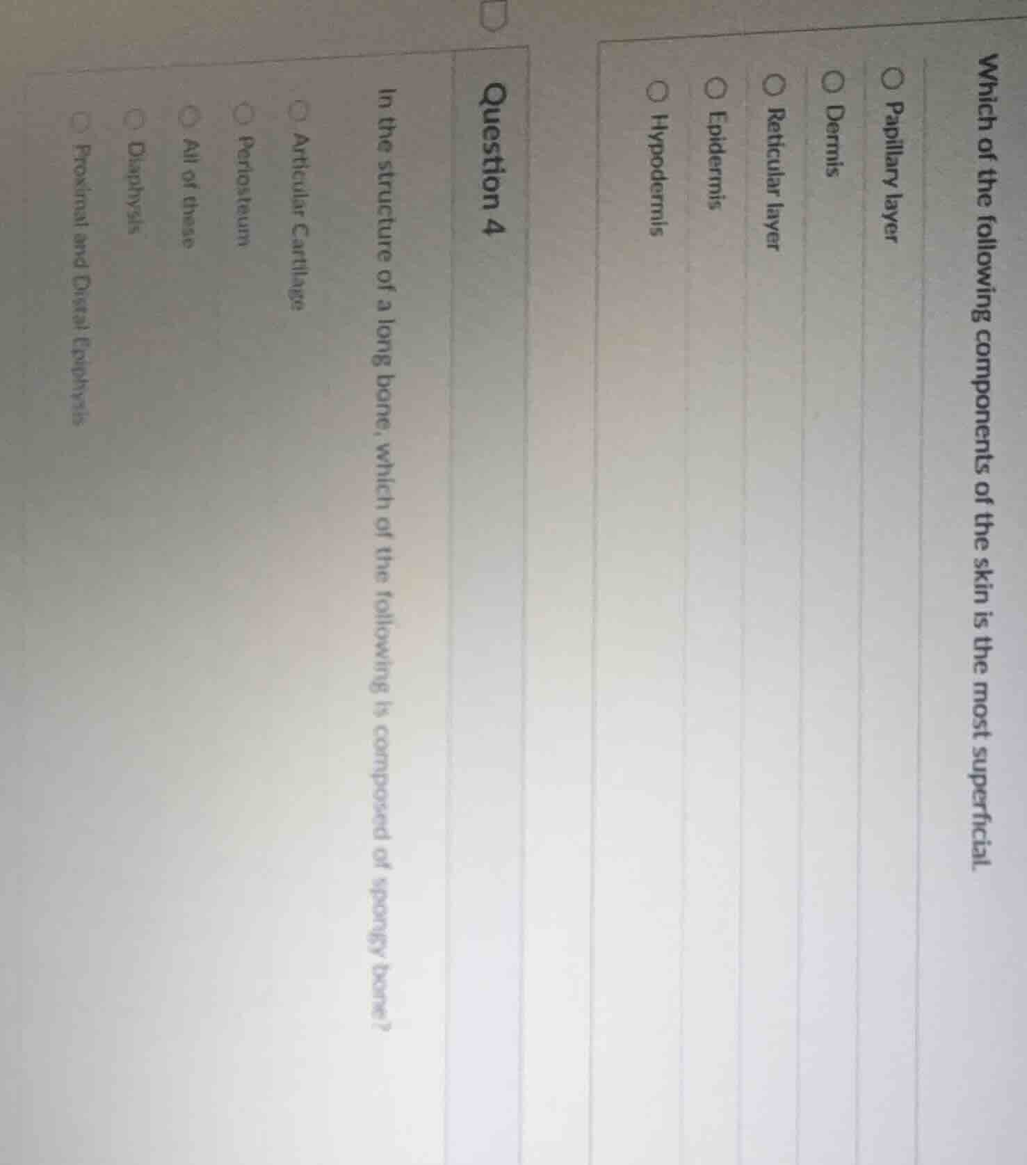 which of the following components of the skin is the most superficial.○…