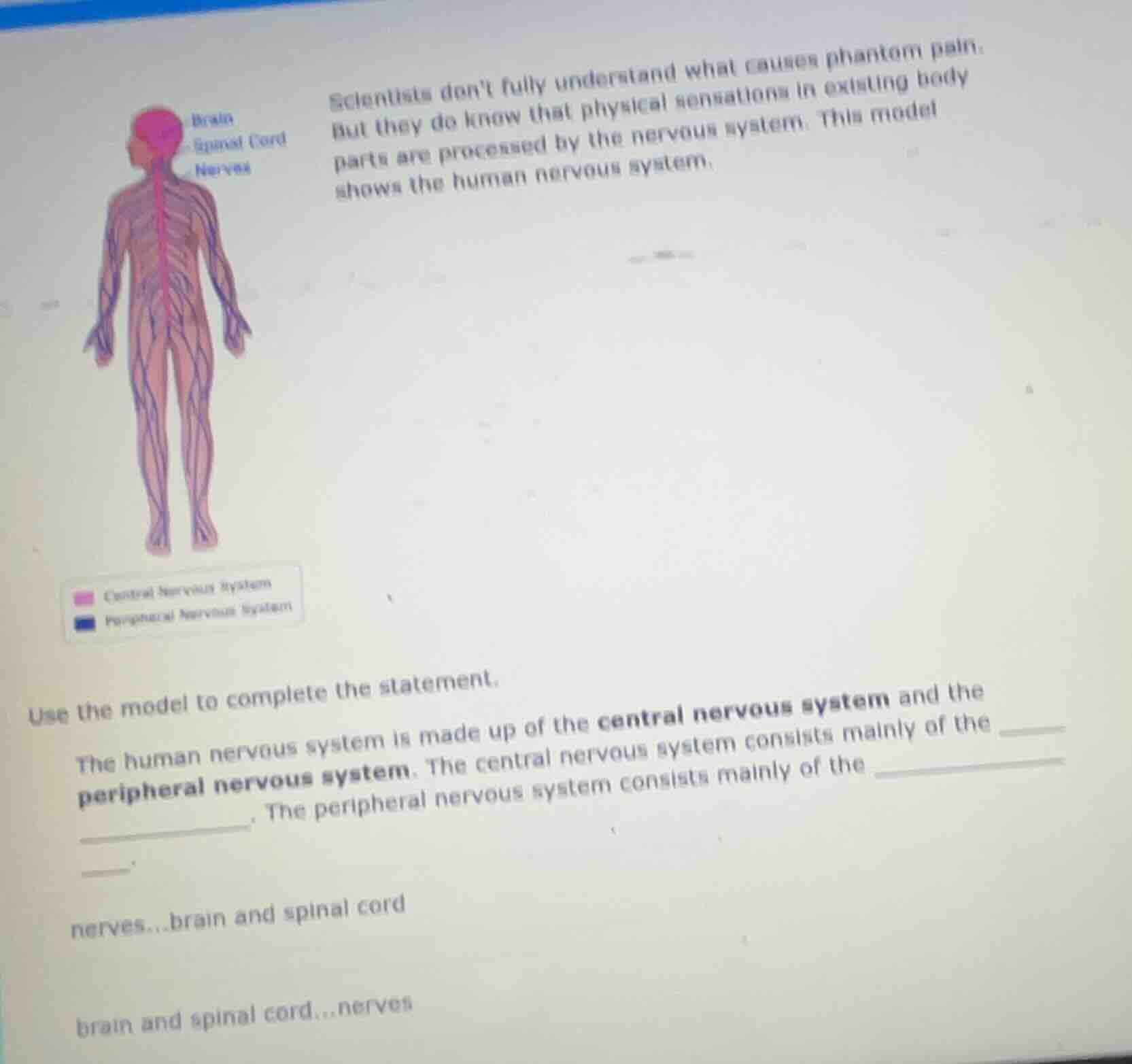 scientists dont fully understand what causes phantom pain. but they do …