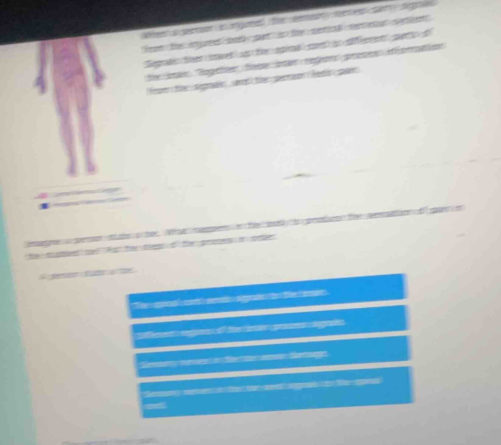 when a person is injured, the sensory nerves carry signals from the inj…