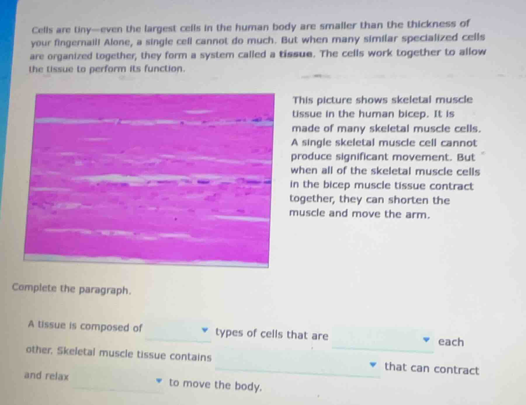 cells are tiny—even the largest cells in the human body are smaller tha…