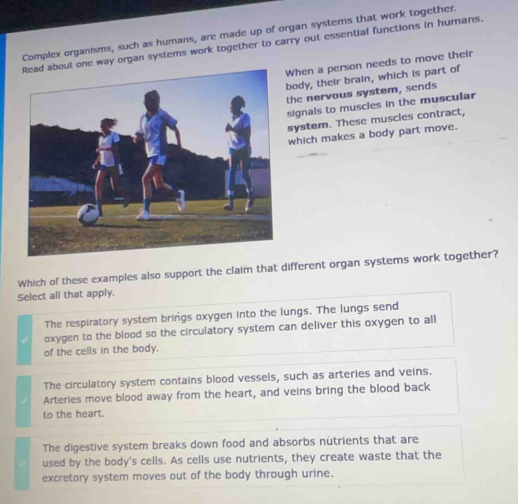 complex organisms, such as humans, are made up of organ systems that wo…