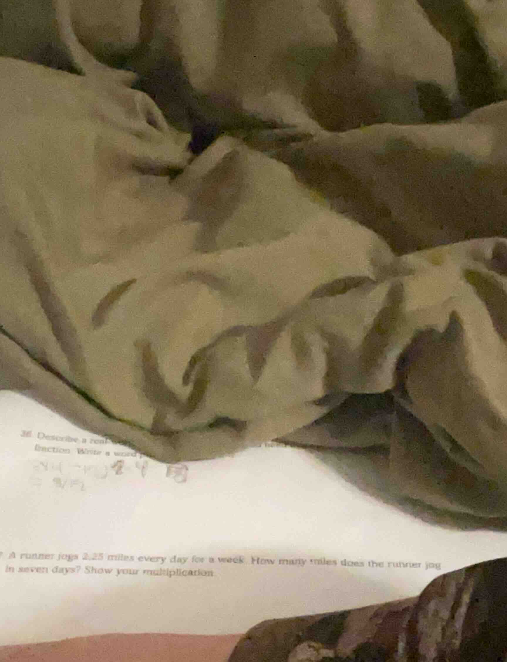 36. describe a real function. write a worda runner jogs 2.25 miles ever…