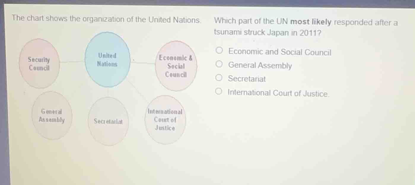 the chart shows the organization of the united nations. which part of t…