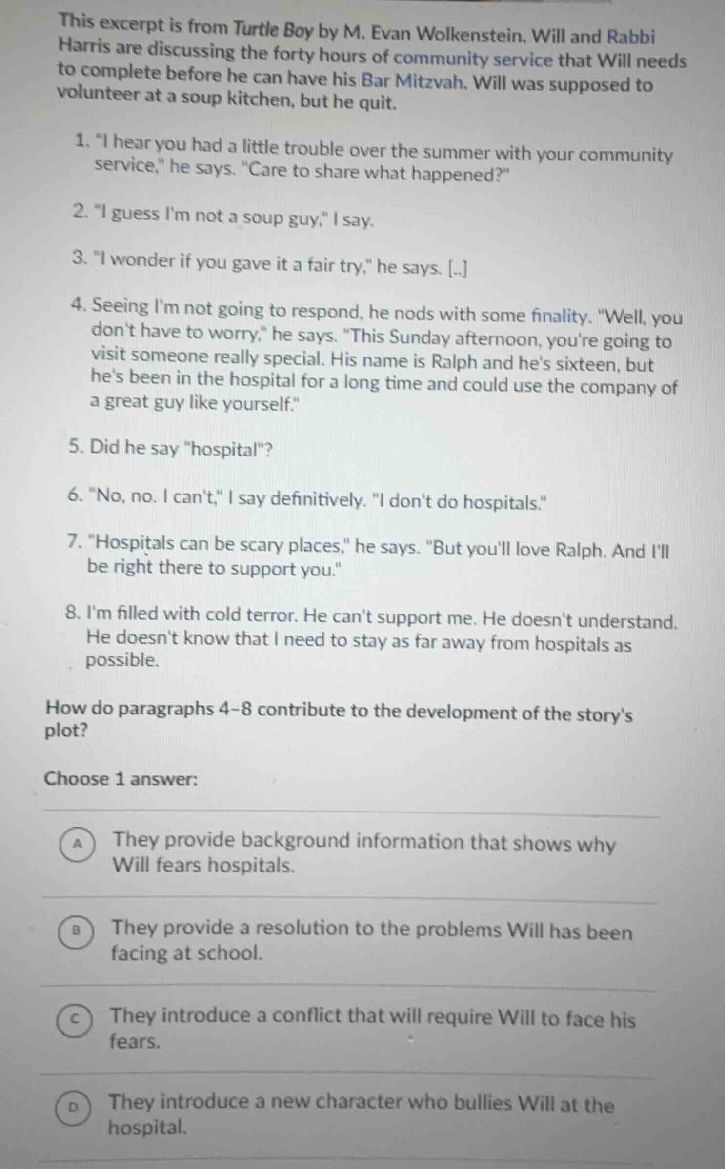 this excerpt is from turtle boy by m. evan wolkenstein. will and rabbi …