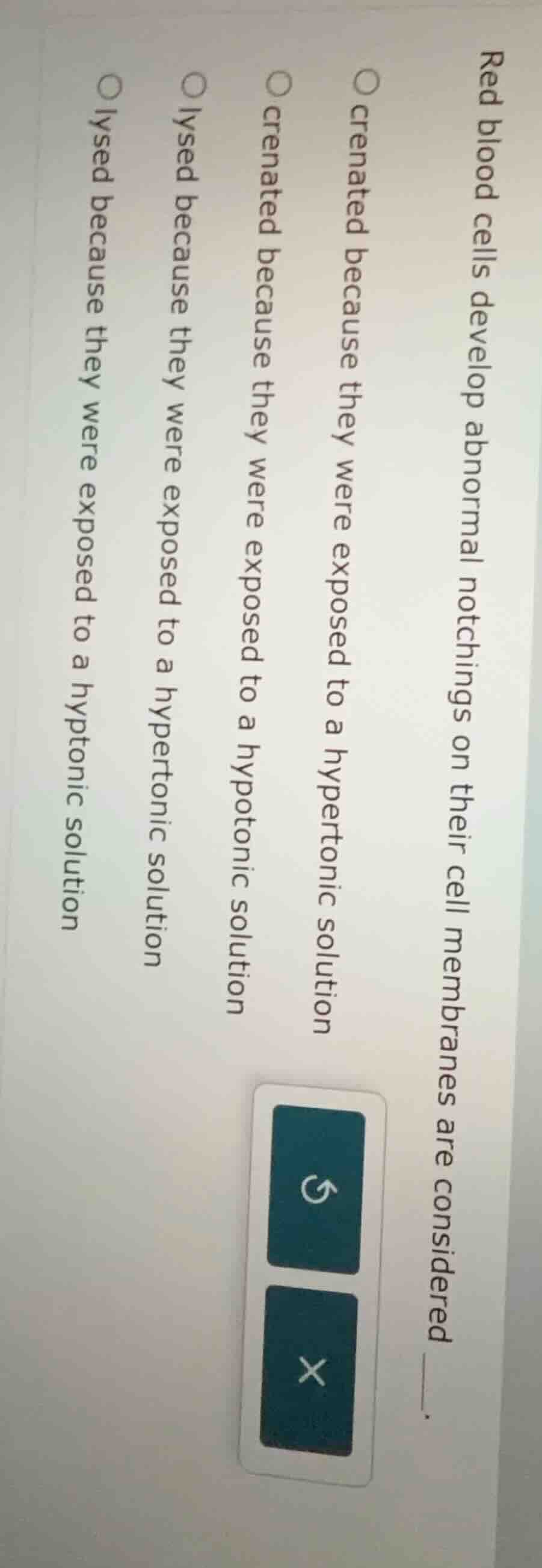 red blood cells develop abnormal notchings on their cell membranes are …