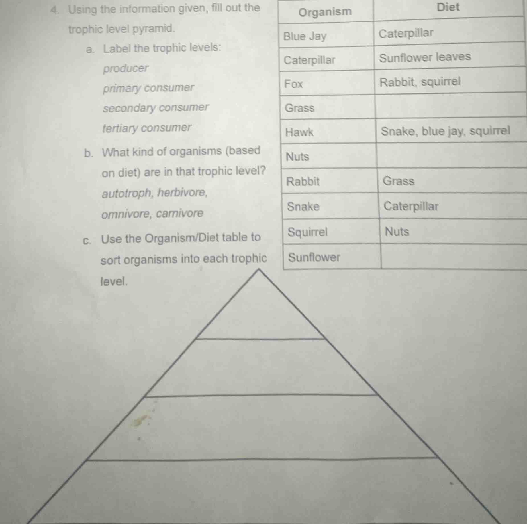 4. using the information given, fill out the trophic level pyramid. a. …