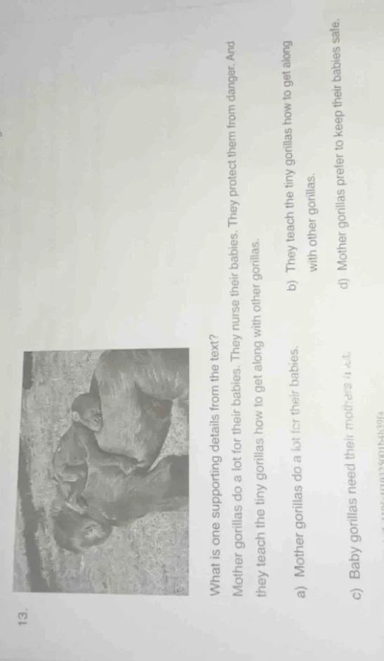 13. what is one supporting details from the text? mother gorillas do a …