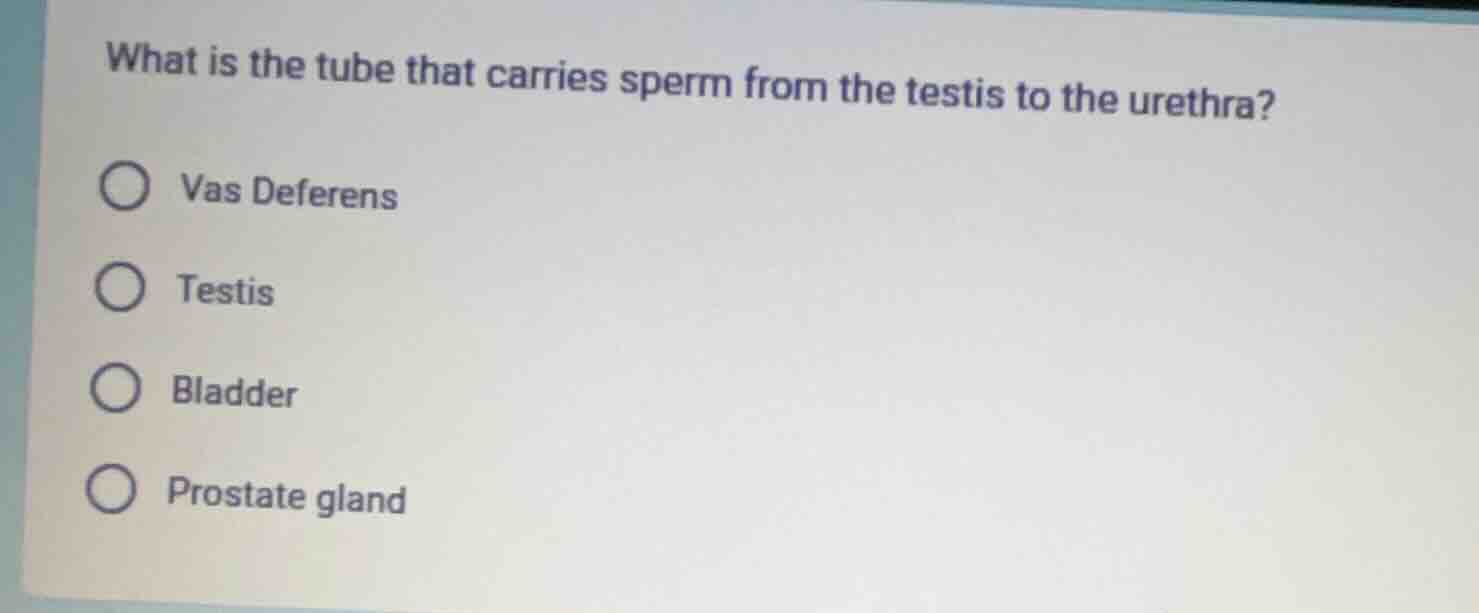 what is the tube that carries sperm from the testis to the urethra? vas…