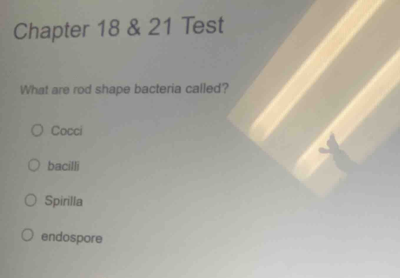 chapter 18 & 21 test what are rod shape bacteria called? ○ cocci ○ baci…