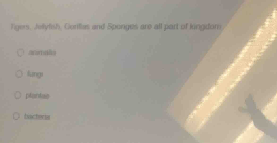 tigers, jellyfish, gorillas and sponges are all part of kingdom:○ anima…
