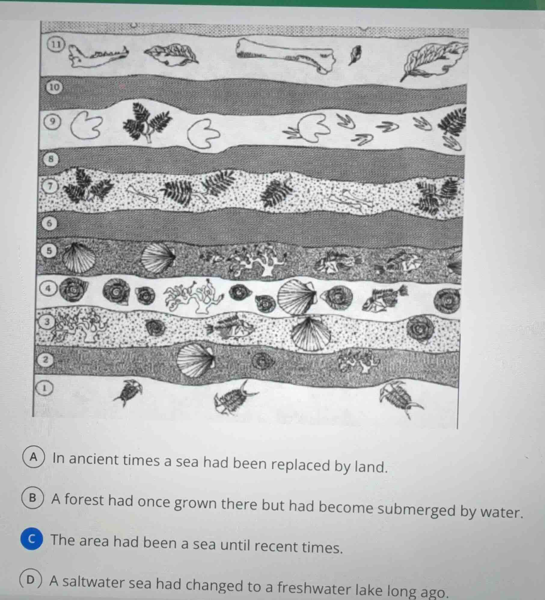 a) in ancient times a sea had been replaced by land. b) a forest had on…