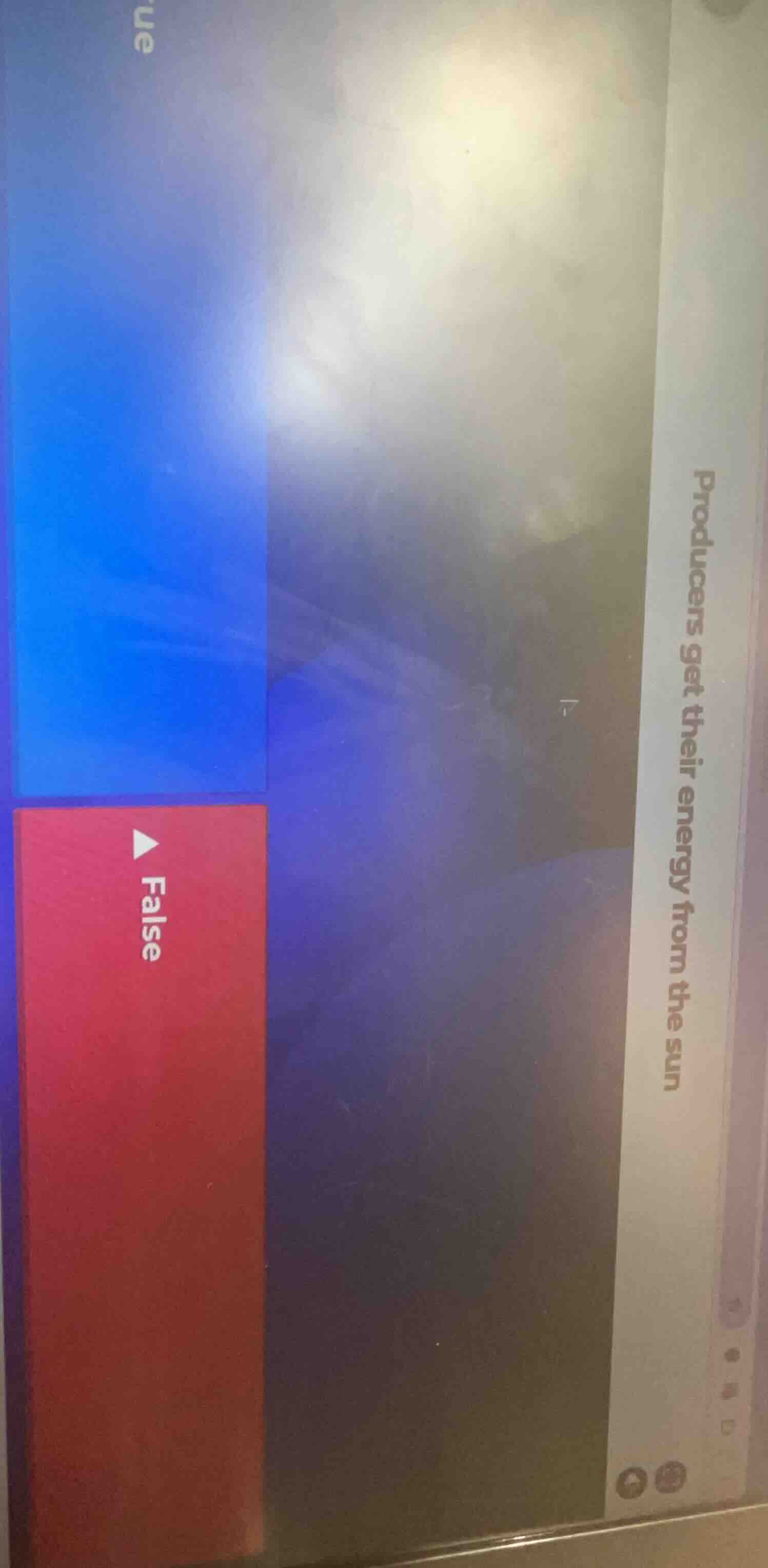 producers get their energy from the sun true false