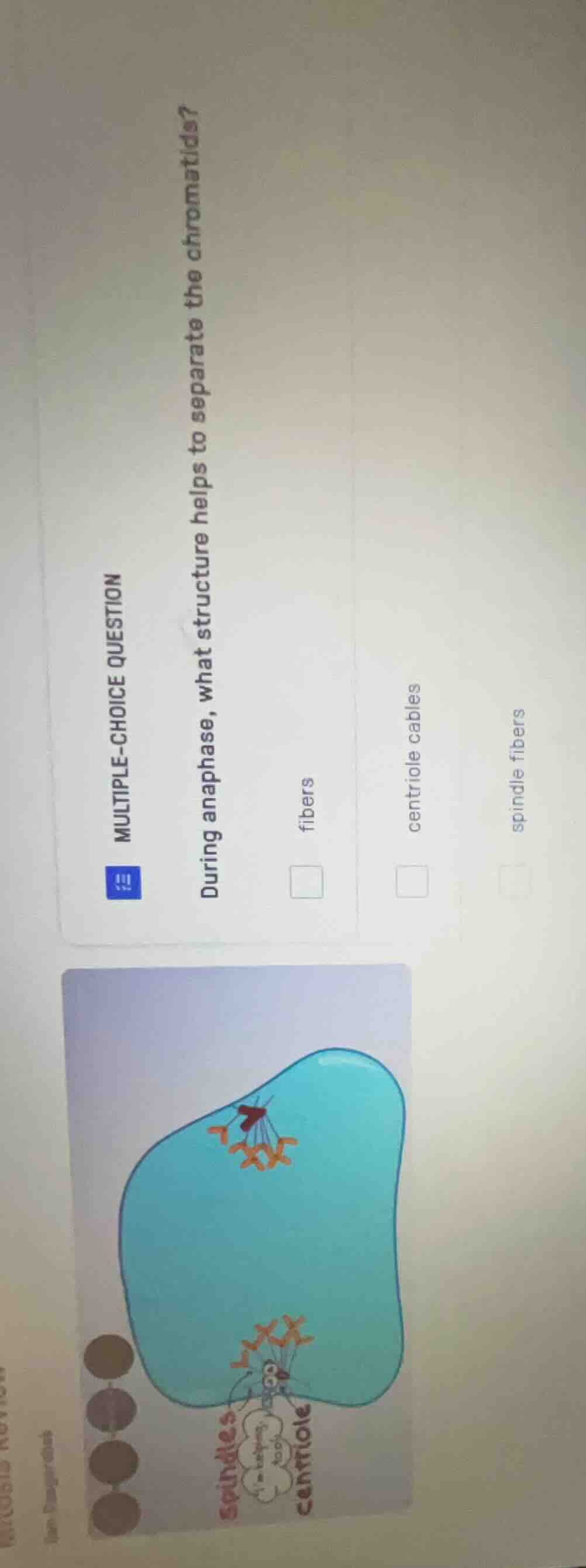 multiple-choice question during anaphase, what structure helps to separ…