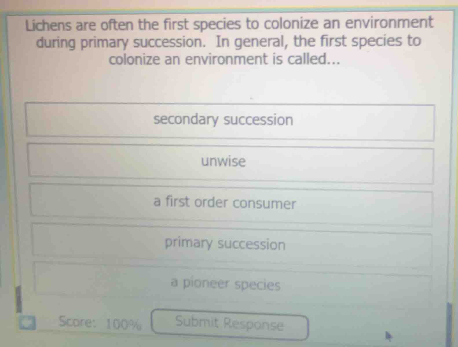 lichens are often the first species to colonize an environment during p…