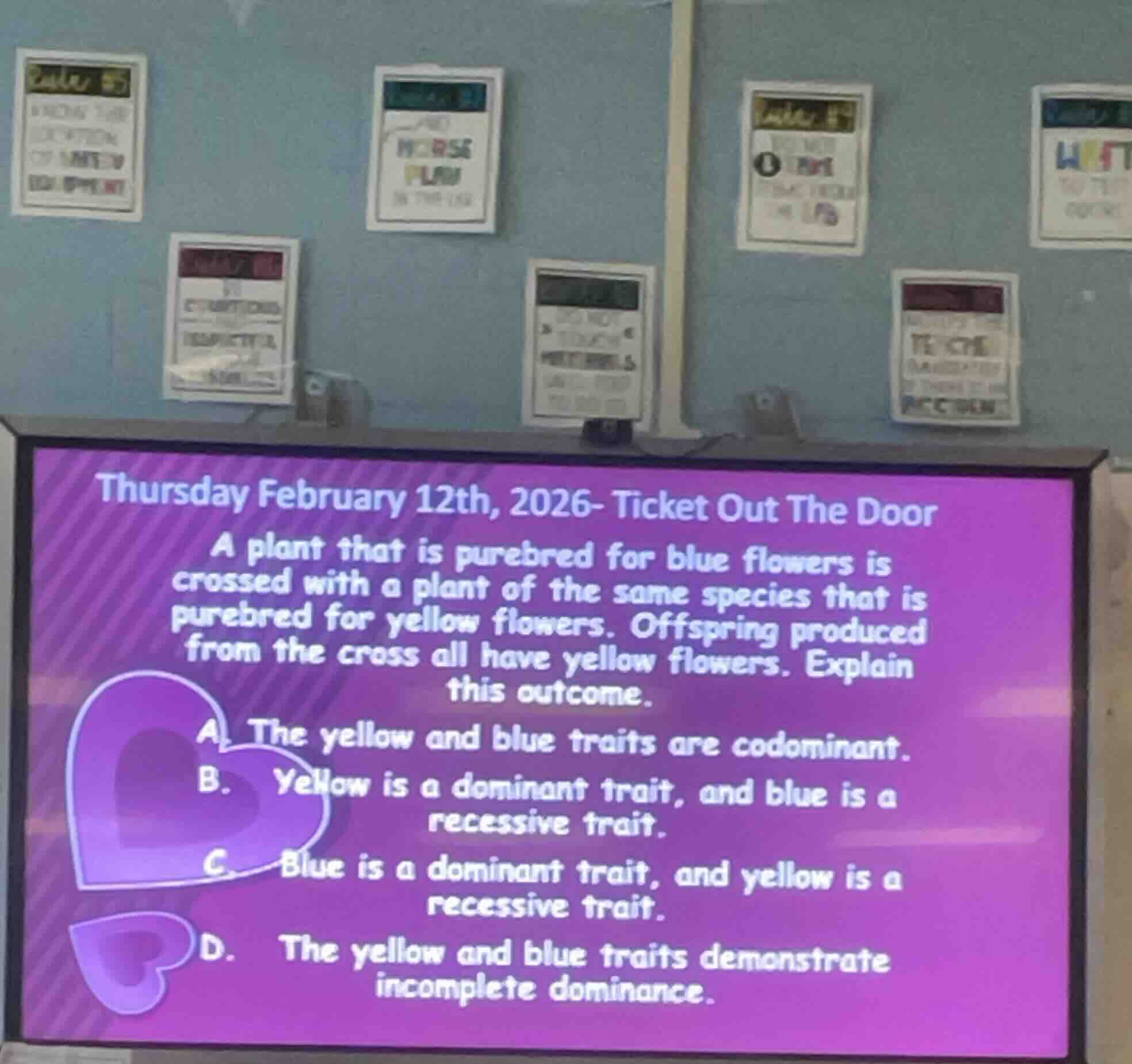 thursday february 12th, 2026- ticket out the door a plant that is pureb…