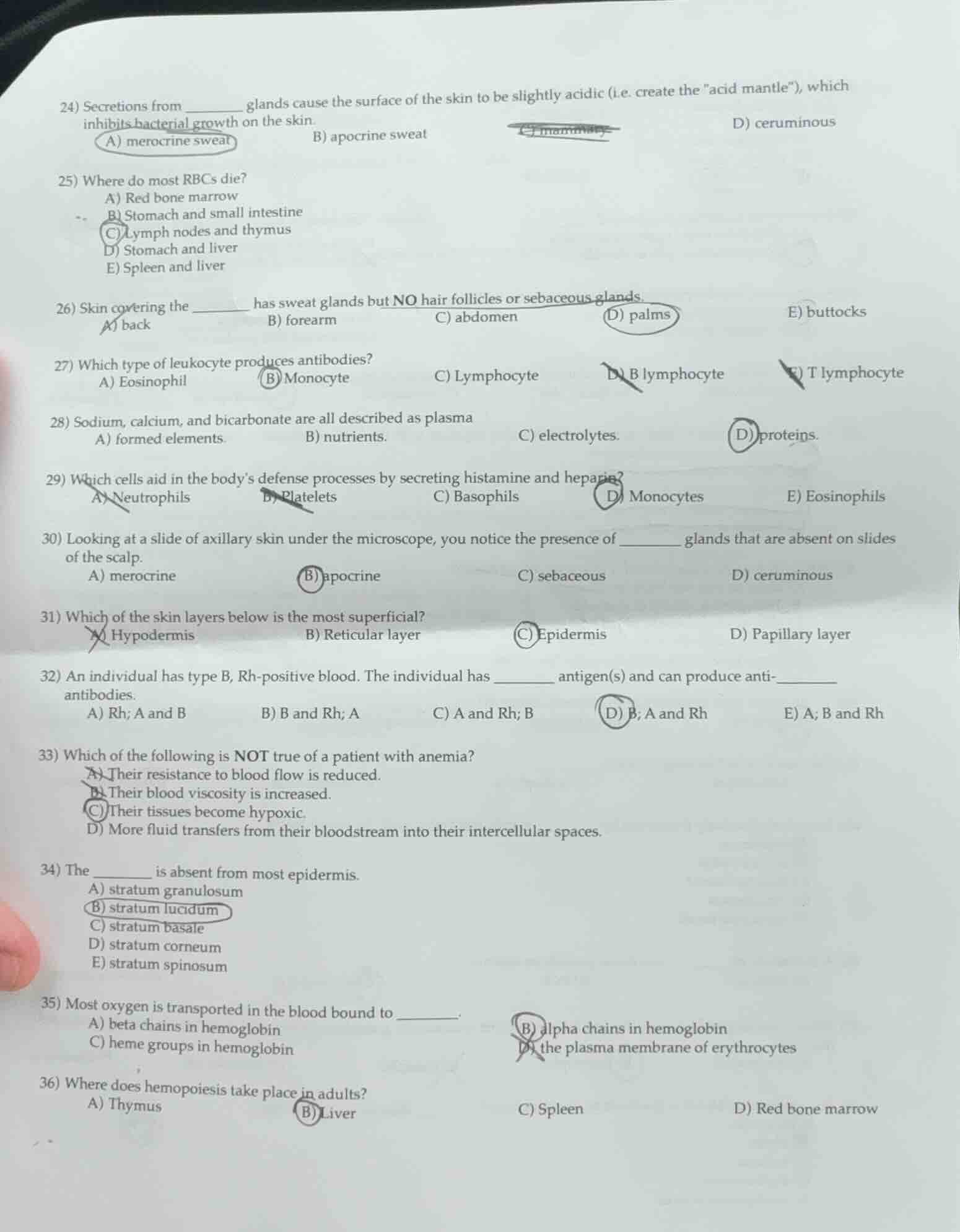 24) secretions from ______ glands cause the surface of the skin to be s…