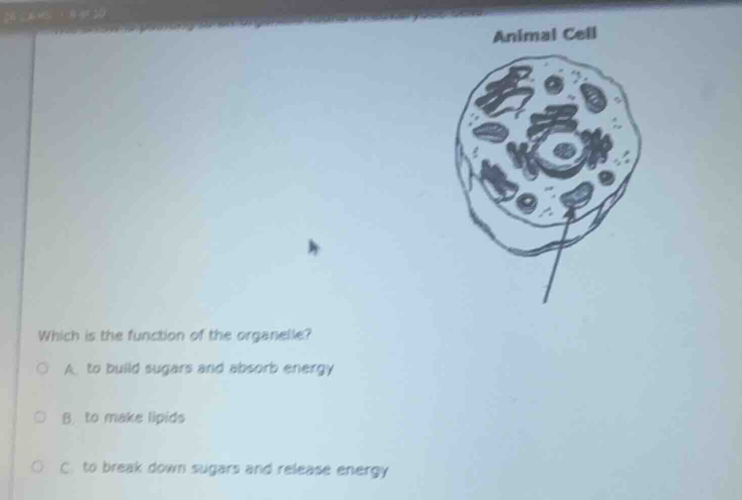 animal cell which is the function of the organelle? a. to build sugars …