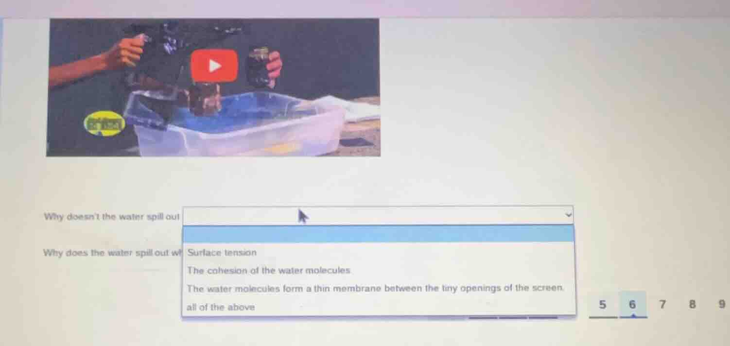 why doesnt the water spill out?why does the water spill out whsurface t…