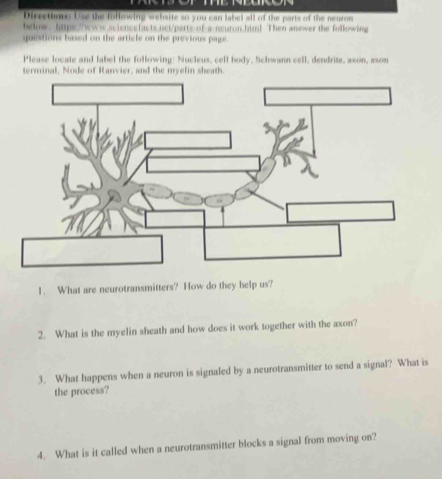 directions: use the following website so you can label all of the parts…