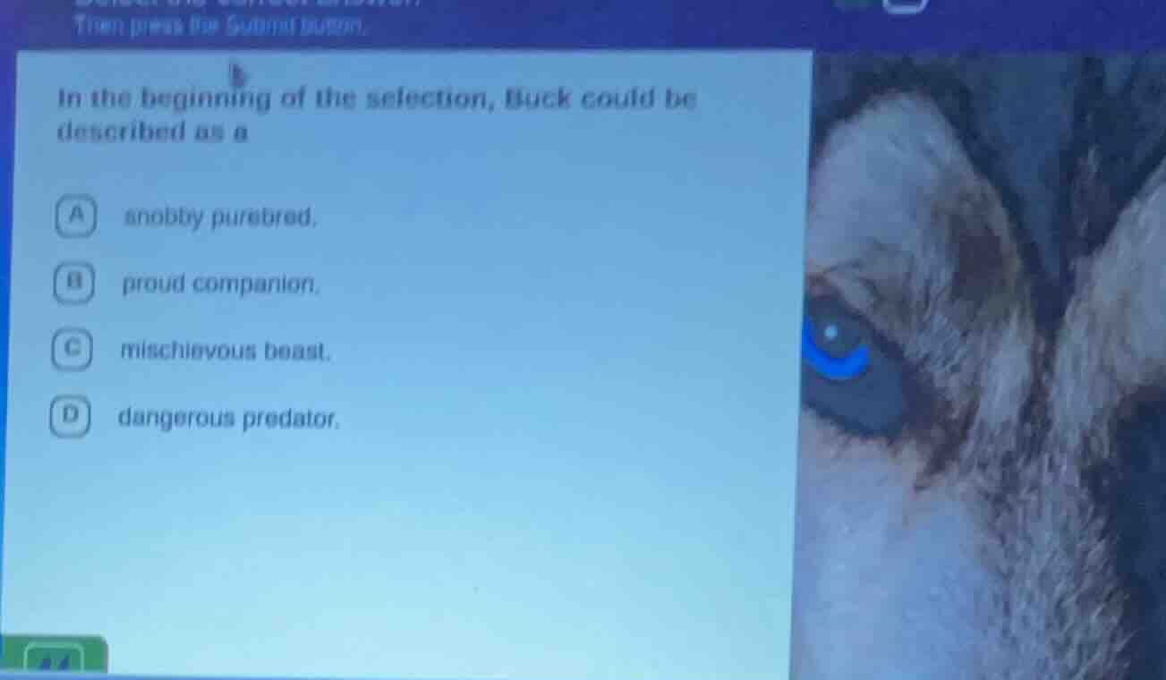 then press the submit button. in the beginning of the selection, buck c…