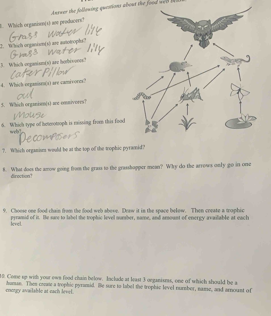 answer the following questions about the food web below.1. which organi…