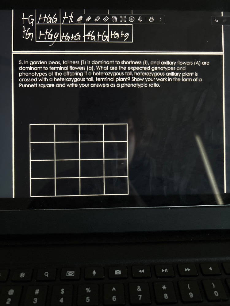 5. in garden peas, tallness (t) is dominant to shortness (t), and axill…
