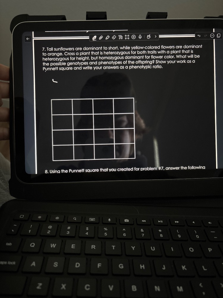 7. tall sunflowers are dominant to short, while yellow-colored flowers …