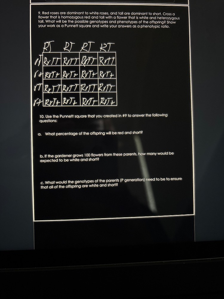 9. red roses are dominant to white roses, and tall are dominant to shor…