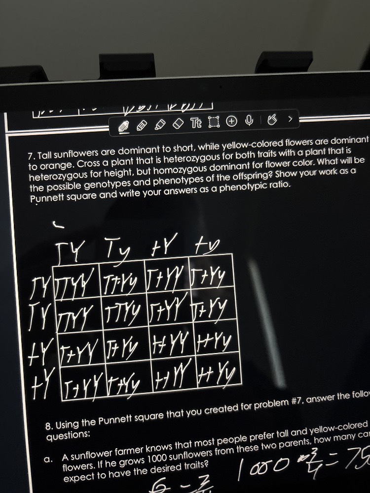 7. tall sunflowers are dominant to short, while yellow-colored flowers …