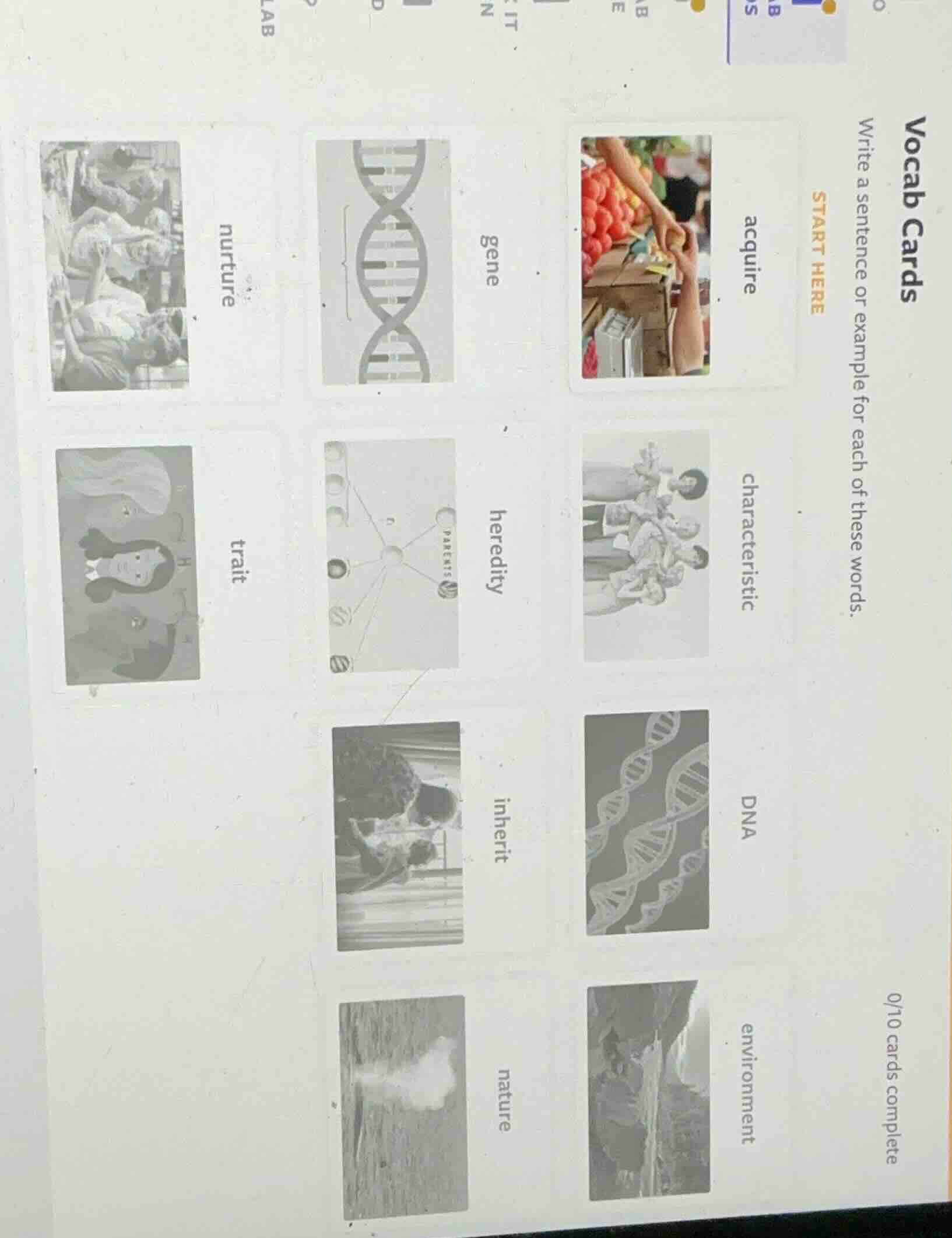 vocab cards write a sentence or example for each of these words. start …