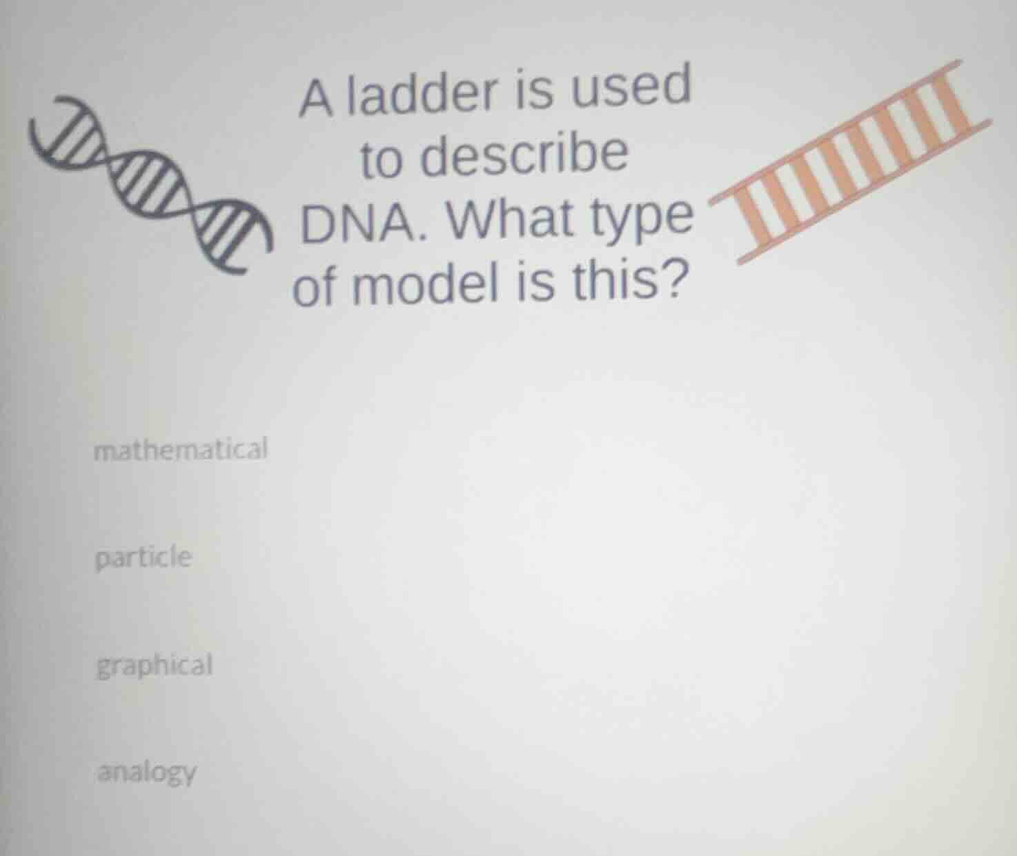 a ladder is used to describe dna. what type of model is this? mathemati…