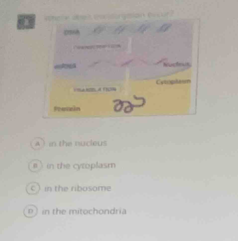 a in the nucleus b in the cytoplasm c in the ribosome d in the mitochon…