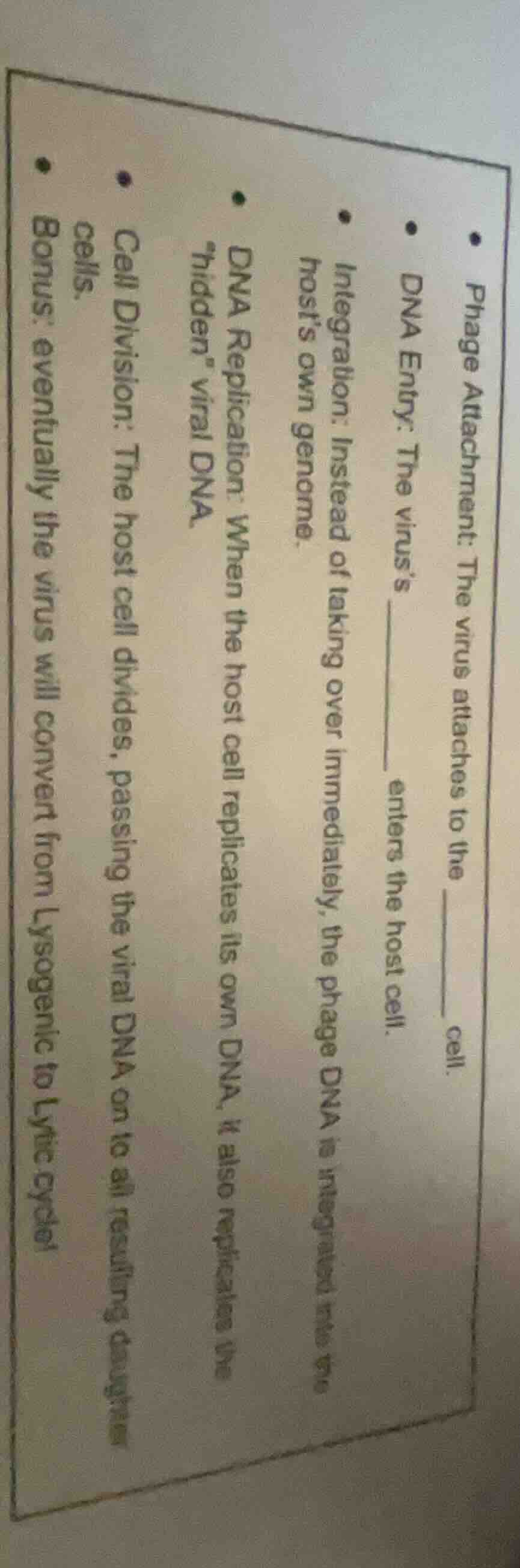 • phage attachment: the virus attaches to the ______ cell.• dna entry: …