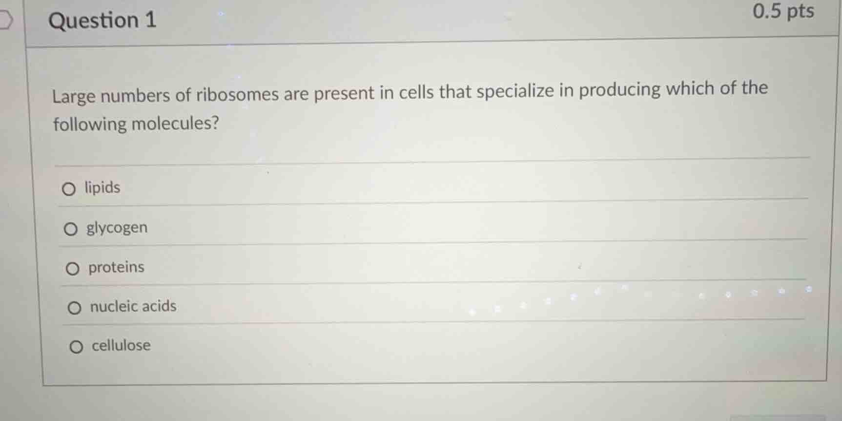 question 1 0.5 pts large numbers of ribosomes are present in cells that…