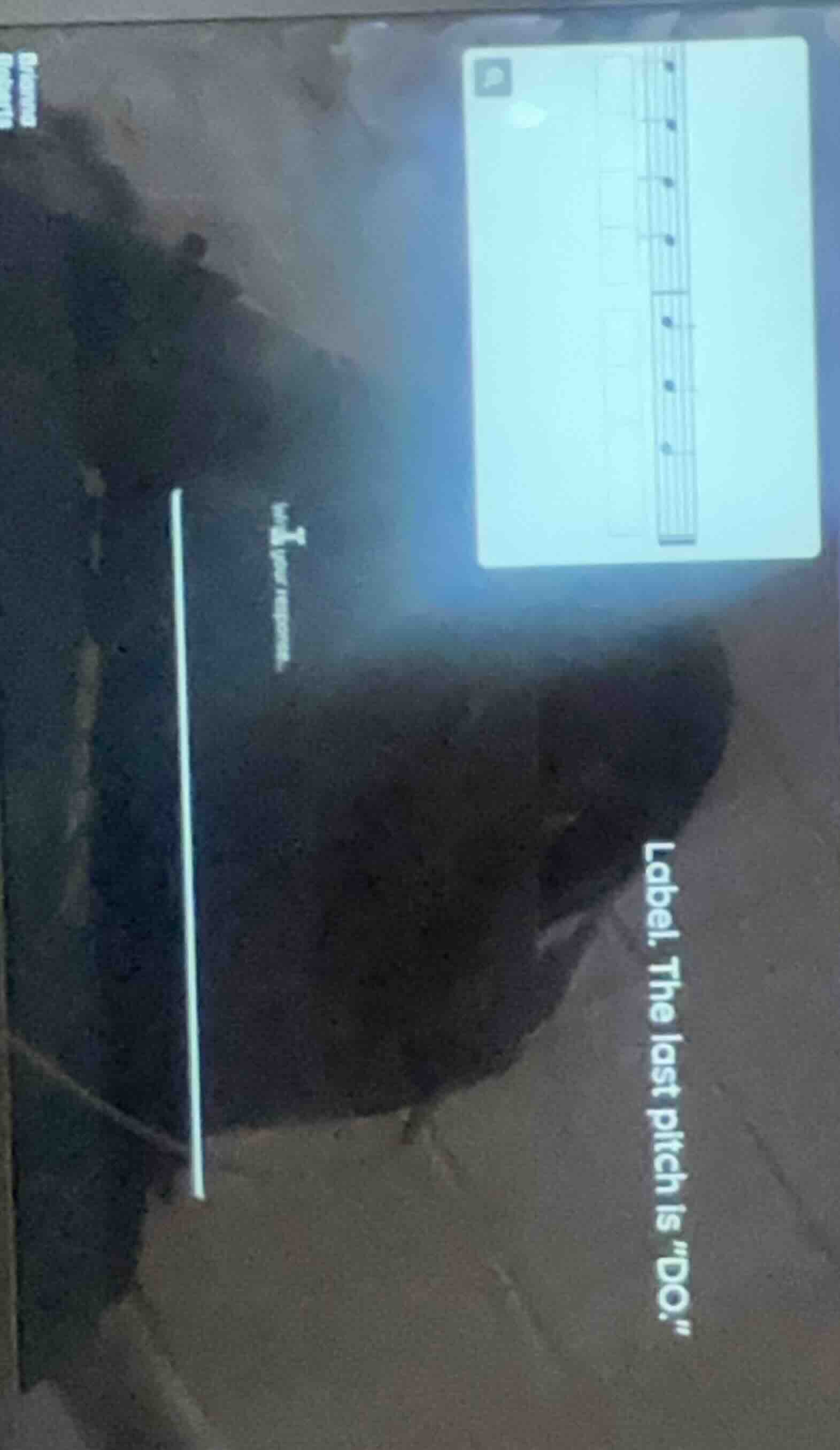 label. the last pitch is \do.\ type your response.