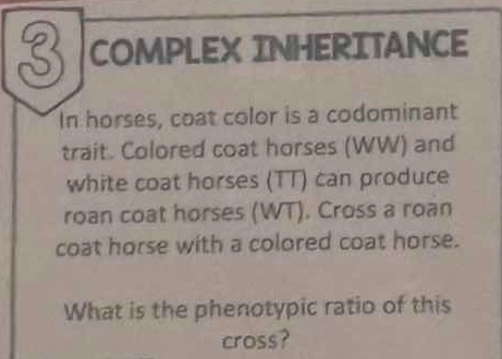 3 complex inheritance in horses, coat color is a codominant trait. colo…