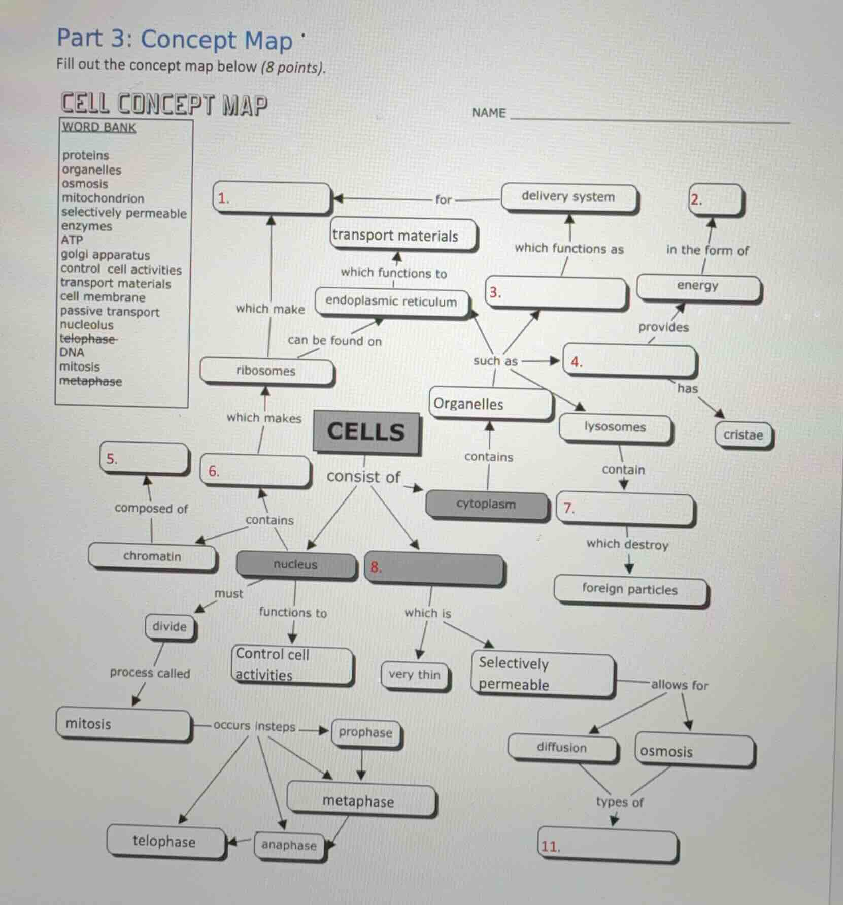 part 3: concept map fill out the concept map below (8 points). cell con…
